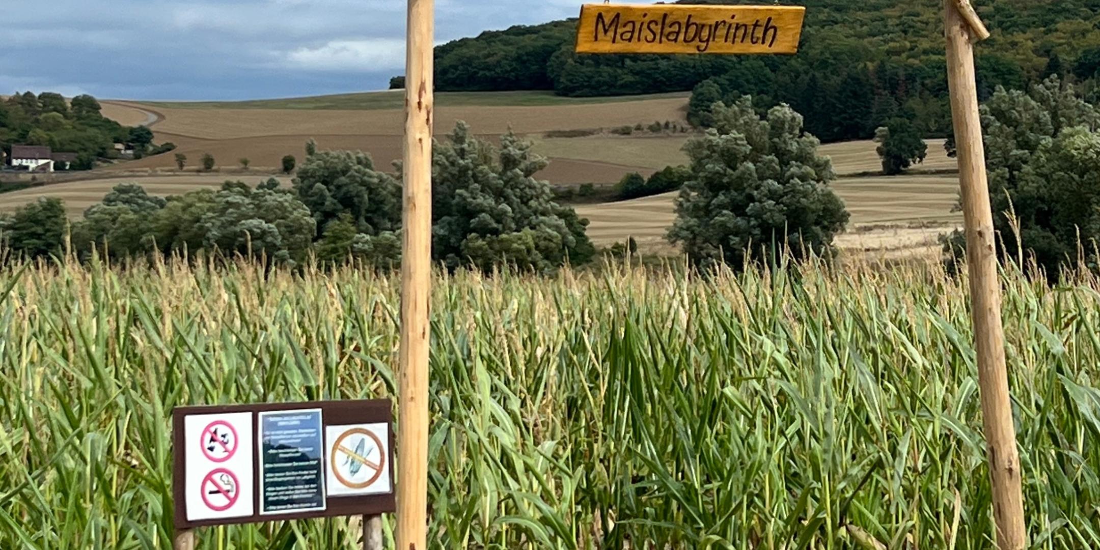 Maislabyrinth1