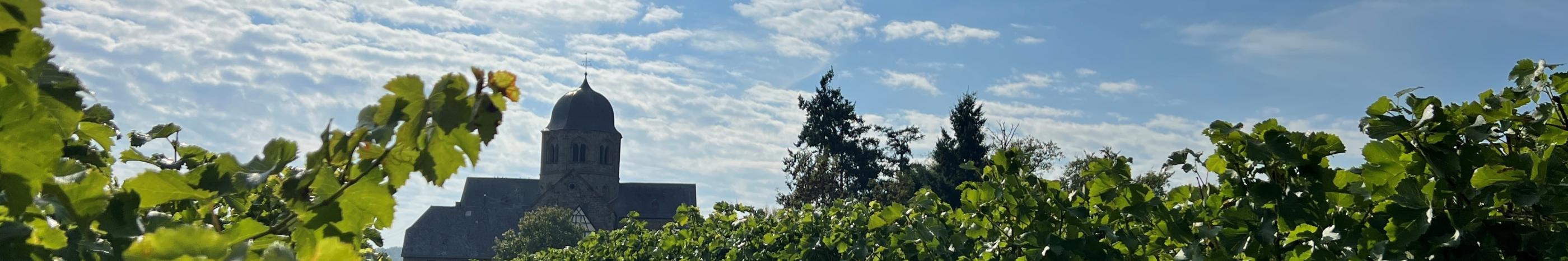 Sponheimer Kirche im Rebenmeer