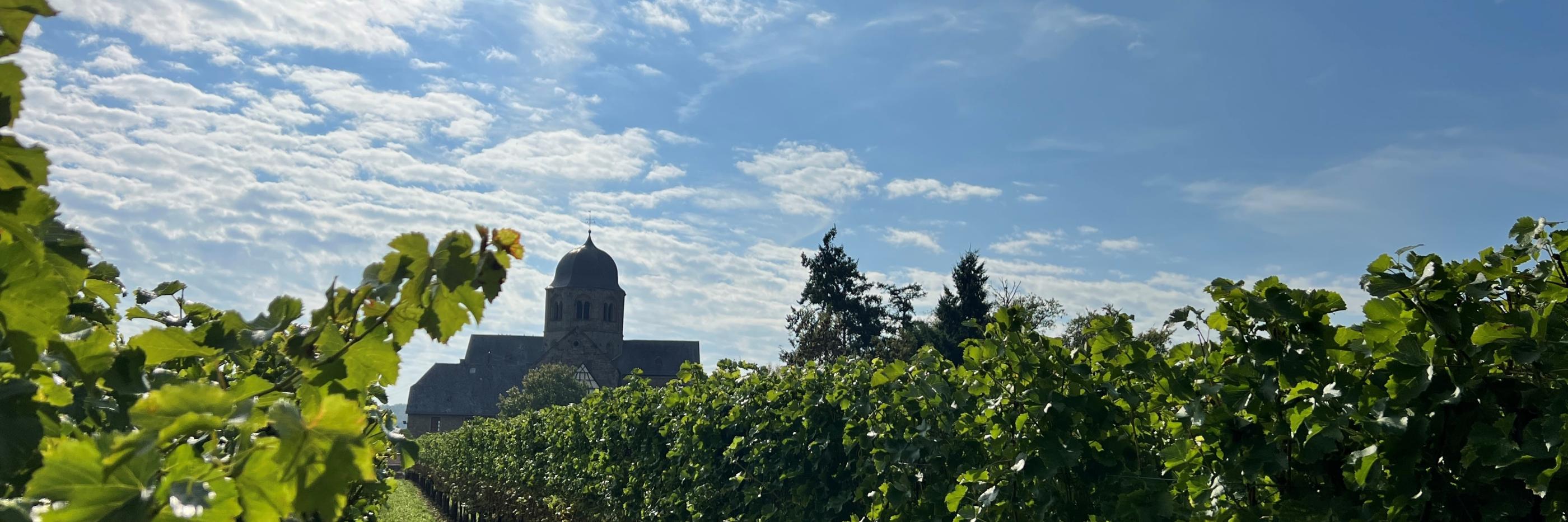 Sponheimer Kirche im Rebenmeer