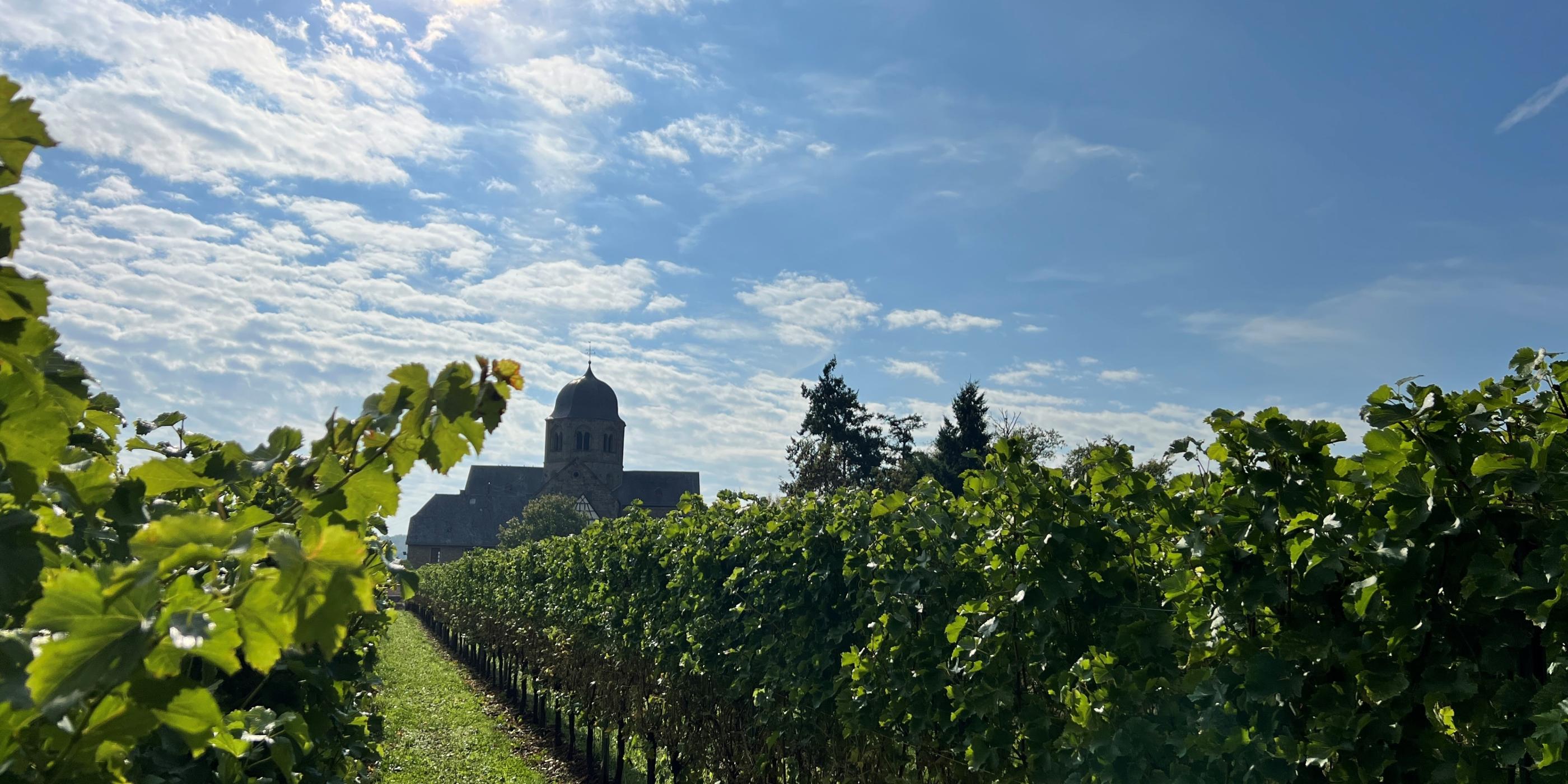 Sponheimer Kirche im Rebenmeer