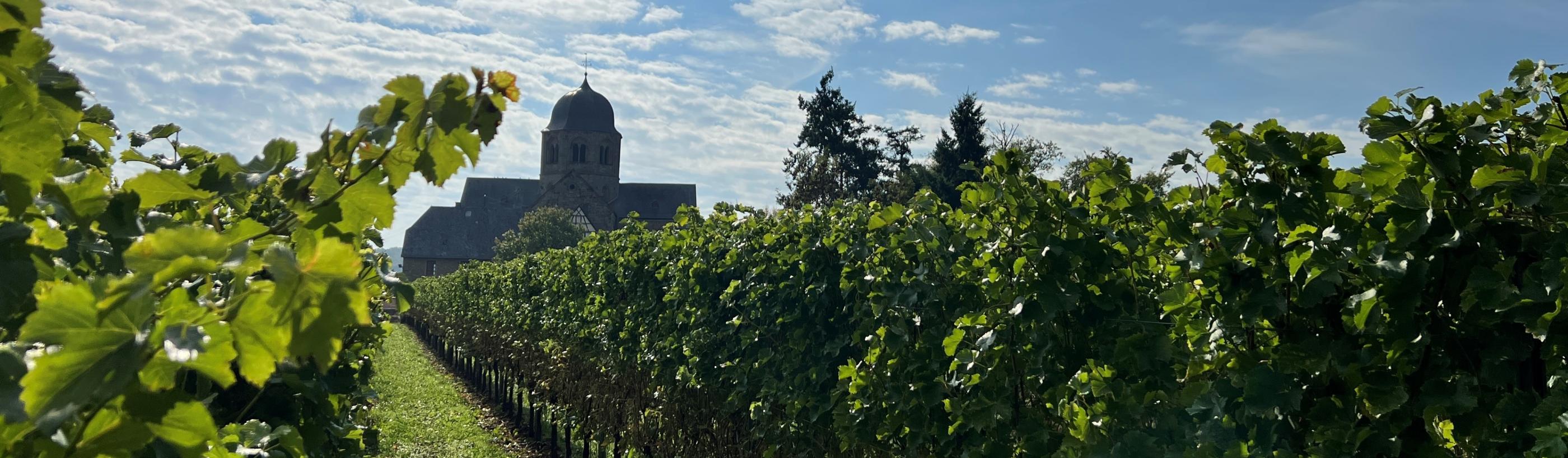 Sponheimer Kirche im Rebenmeer