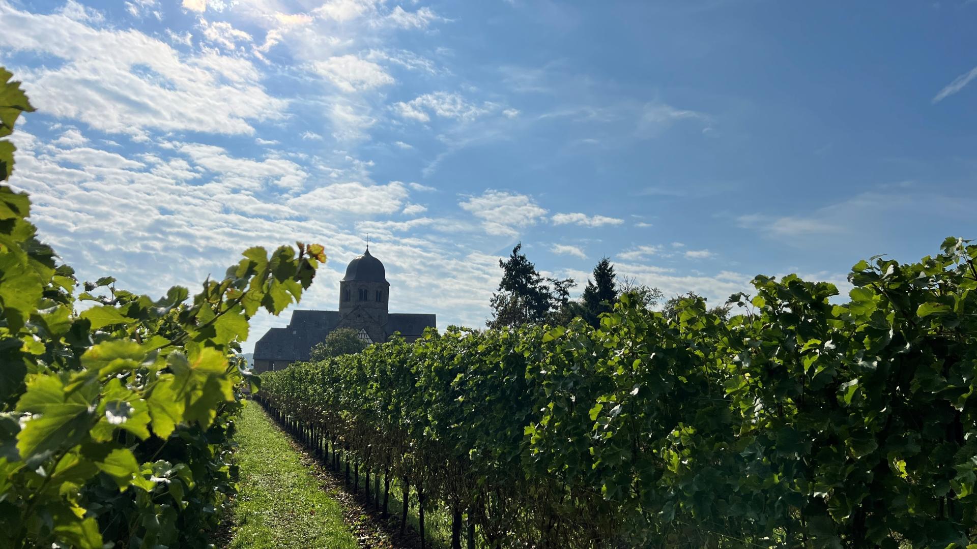 Sponheimer Kirche im Rebenmeer