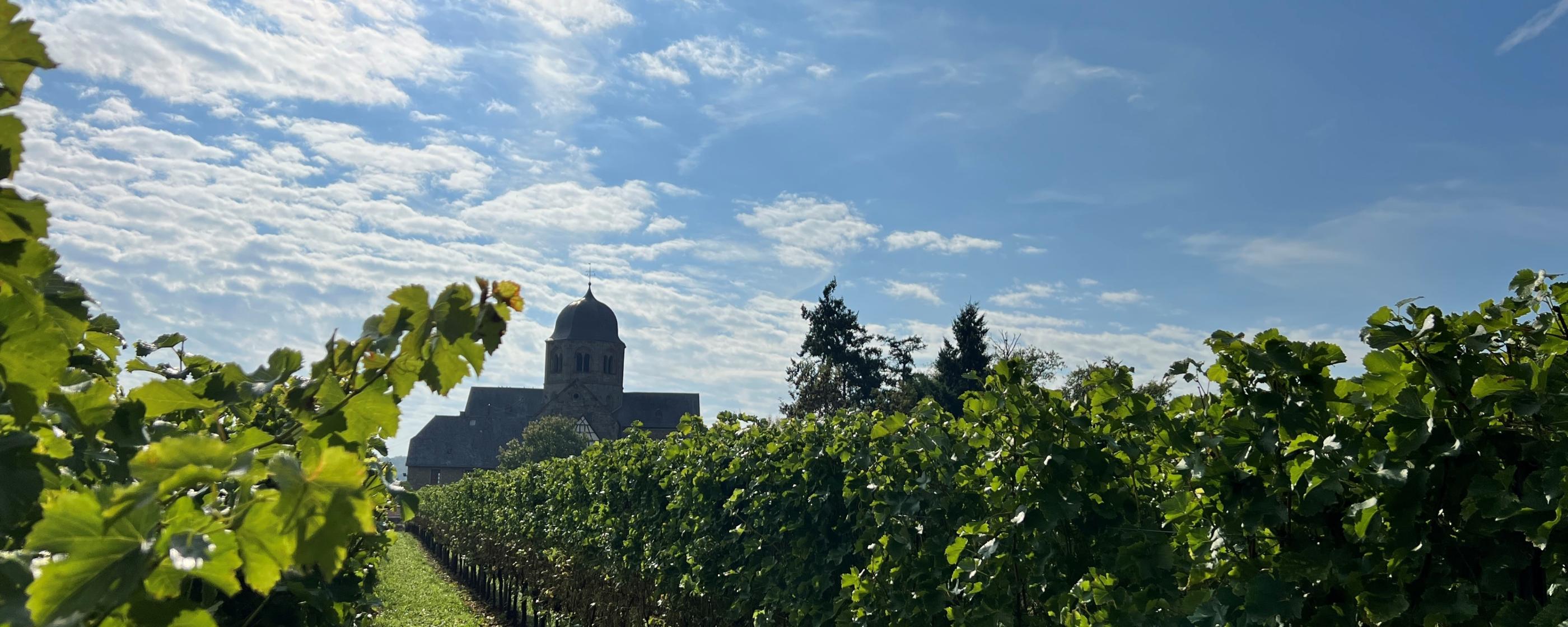 Sponheimer Kirche im Rebenmeer