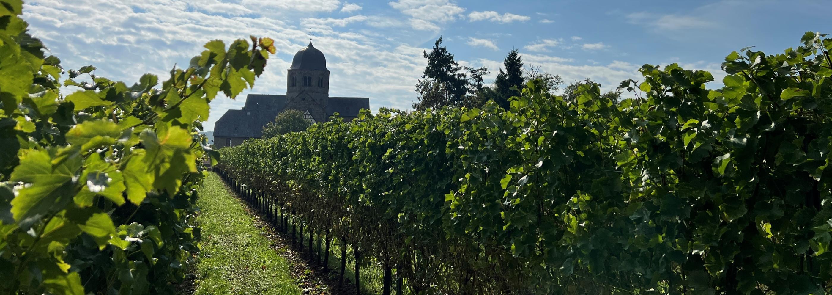 Sponheimer Kirche im Rebenmeer