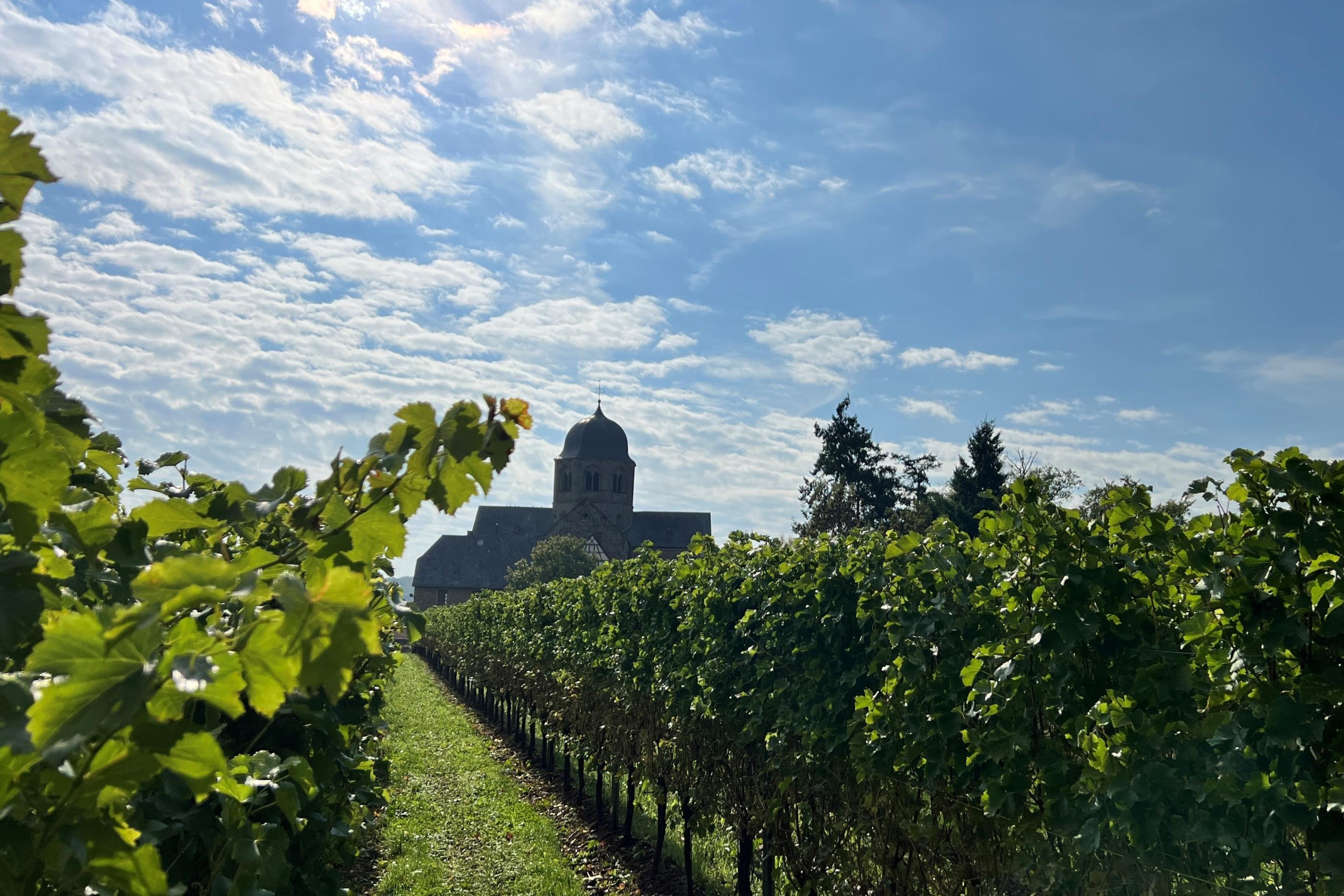 Sponheimer Kirche im Rebenmeer